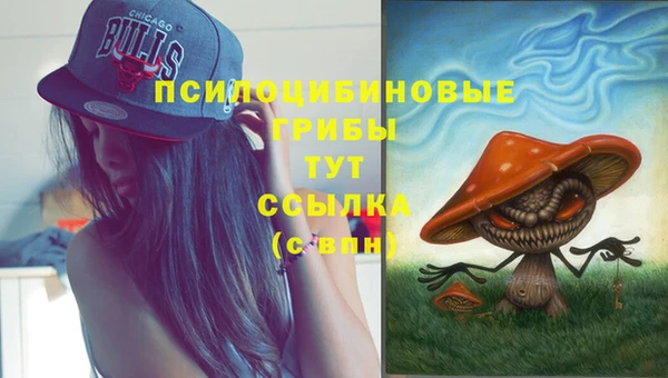винт Краснослободск