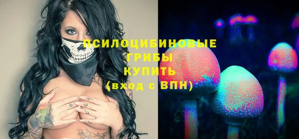 винт Краснослободск