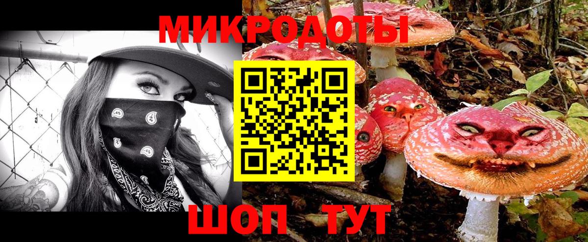 Малоярославец  Галлюциногенные грибы ЛСД  Вход с VPN  Псилоцибиновые грибы Psilocybine cubensis 