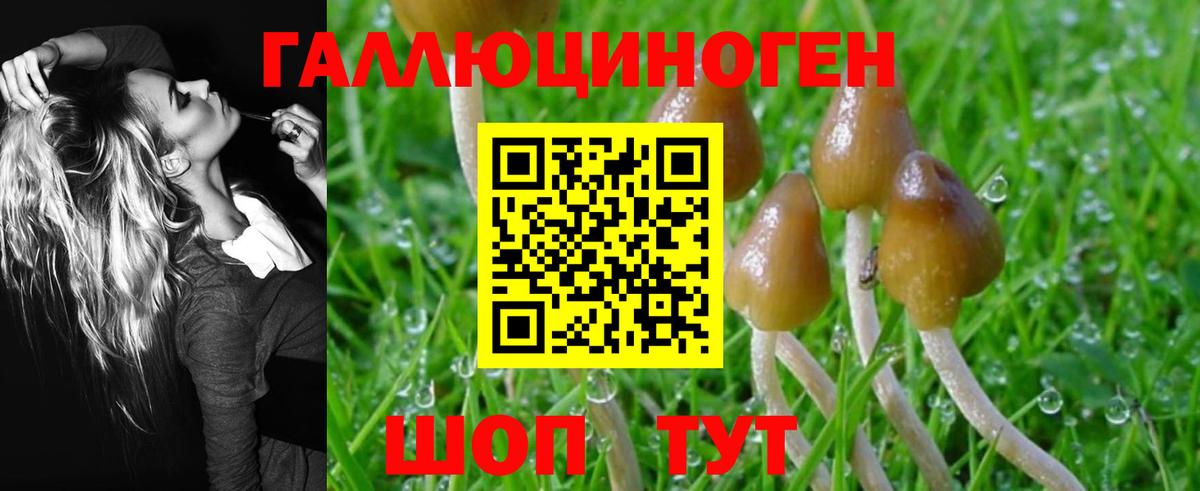 Псилоцибиновые грибы GOLDEN TEACHER  Малоярославец  Галлюциногенные грибы мицелий 